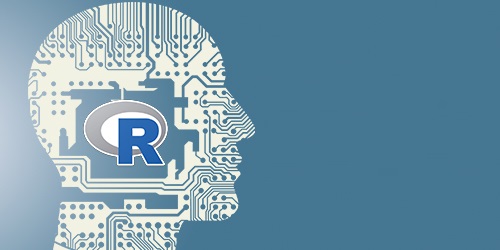 Data Science & Analytics with R